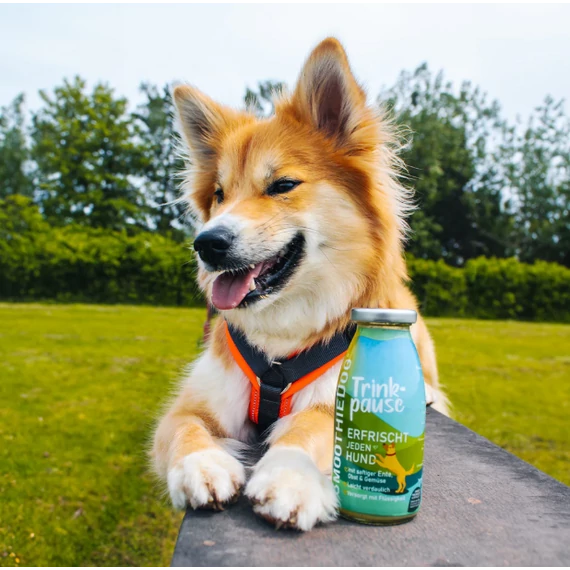 SmoothieDog kacsa menü kutyáknak - 250ml